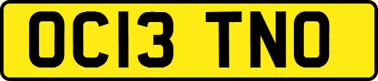 OC13TNO
