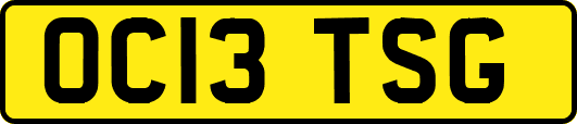 OC13TSG