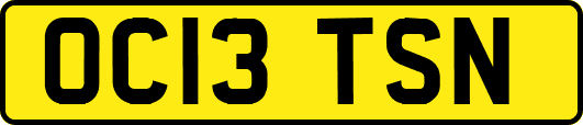 OC13TSN