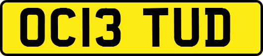 OC13TUD