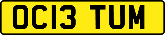 OC13TUM