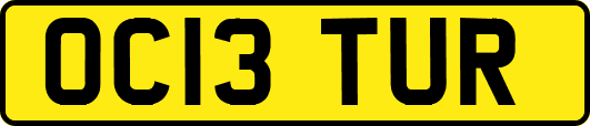 OC13TUR