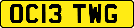 OC13TWG