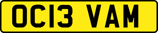 OC13VAM