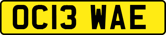 OC13WAE