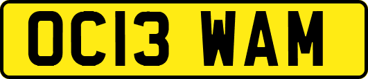OC13WAM