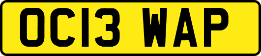 OC13WAP