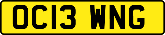 OC13WNG