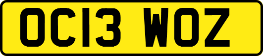 OC13WOZ