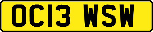 OC13WSW