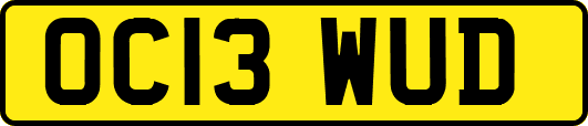 OC13WUD