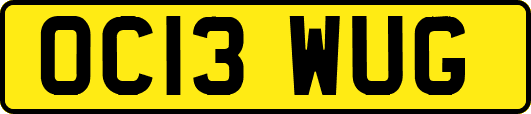 OC13WUG