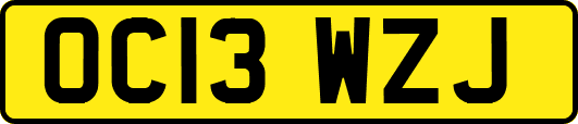 OC13WZJ
