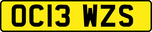 OC13WZS