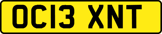 OC13XNT
