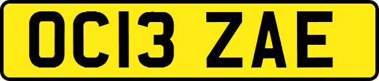OC13ZAE