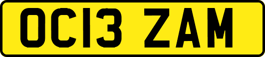OC13ZAM