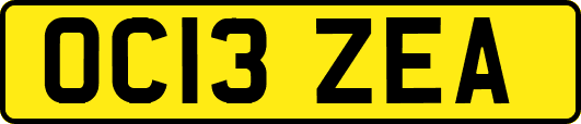 OC13ZEA