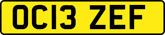 OC13ZEF