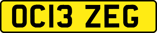 OC13ZEG