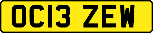 OC13ZEW