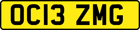 OC13ZMG