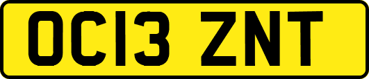 OC13ZNT