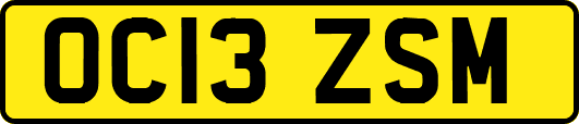OC13ZSM