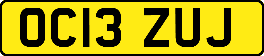 OC13ZUJ