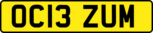 OC13ZUM