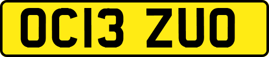 OC13ZUO