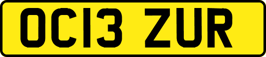 OC13ZUR