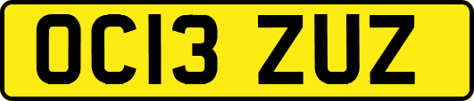 OC13ZUZ