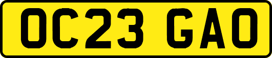 OC23GAO