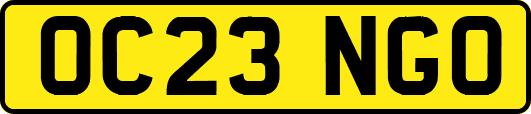 OC23NGO