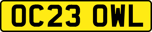 OC23OWL