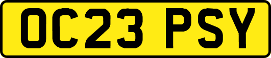 OC23PSY