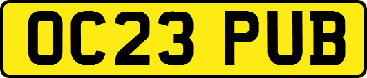 OC23PUB
