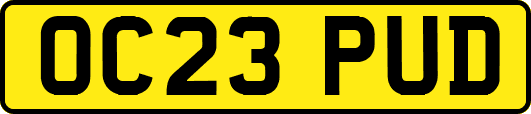 OC23PUD