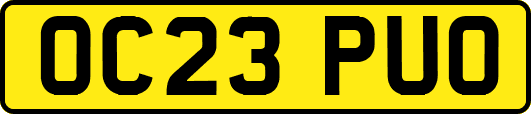 OC23PUO