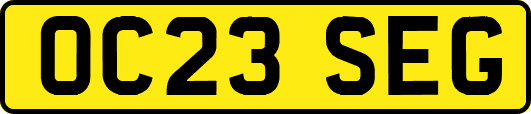 OC23SEG