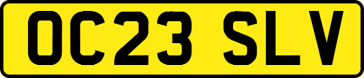 OC23SLV