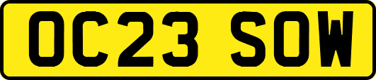 OC23SOW
