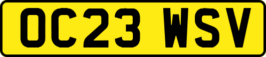 OC23WSV