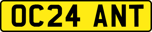 OC24ANT