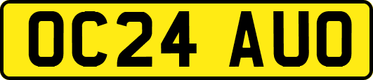 OC24AUO