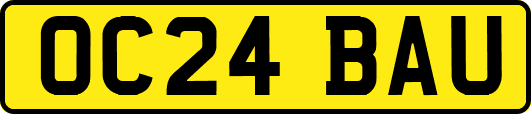 OC24BAU