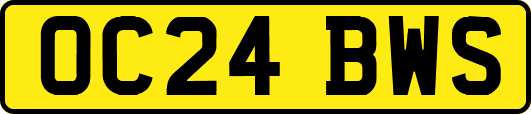 OC24BWS