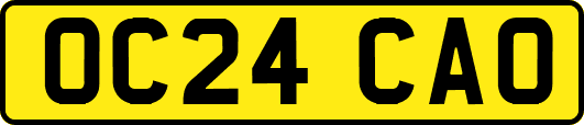OC24CAO