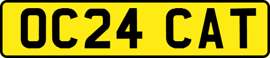 OC24CAT